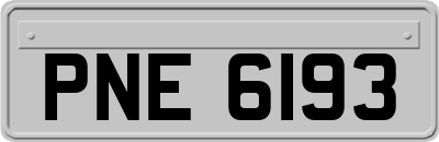 PNE6193