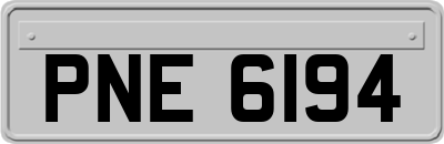 PNE6194