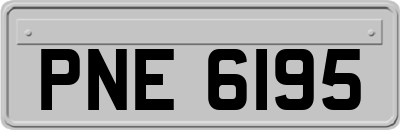PNE6195