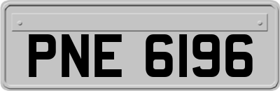 PNE6196