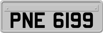 PNE6199