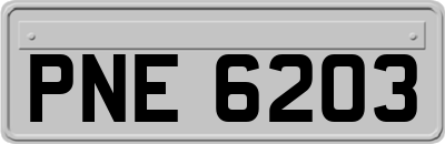 PNE6203