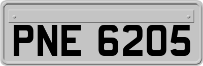 PNE6205