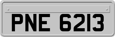 PNE6213