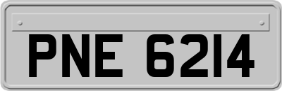 PNE6214