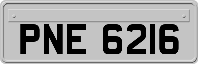 PNE6216