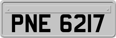 PNE6217