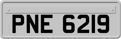 PNE6219