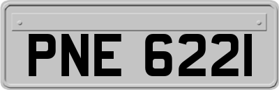 PNE6221
