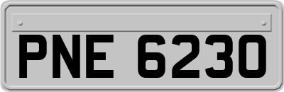 PNE6230