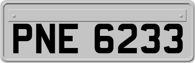 PNE6233