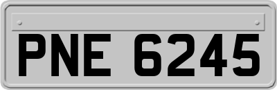 PNE6245