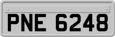 PNE6248