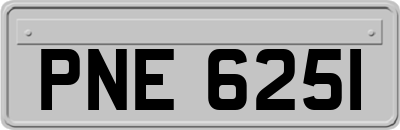 PNE6251