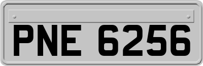 PNE6256