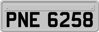 PNE6258