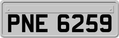 PNE6259