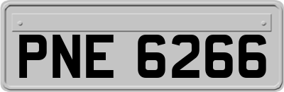 PNE6266