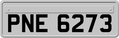 PNE6273
