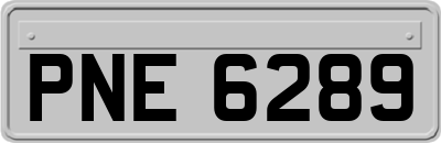 PNE6289
