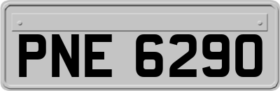 PNE6290