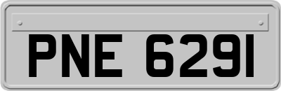 PNE6291