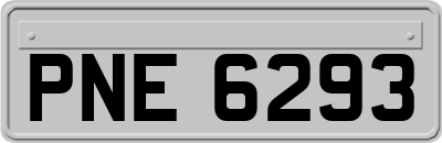 PNE6293