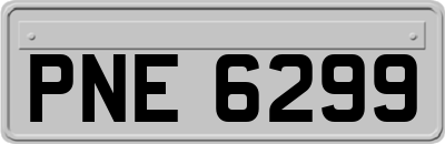 PNE6299