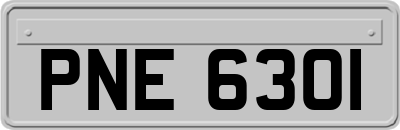 PNE6301