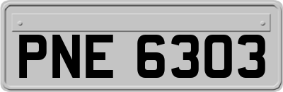 PNE6303
