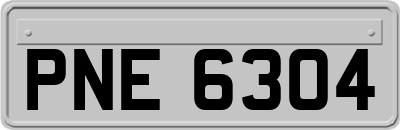 PNE6304