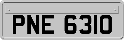 PNE6310