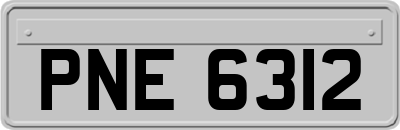 PNE6312