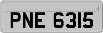 PNE6315