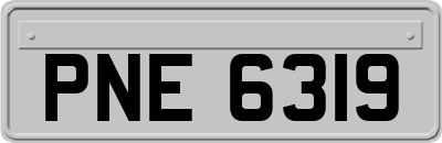 PNE6319