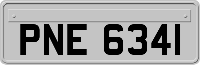 PNE6341