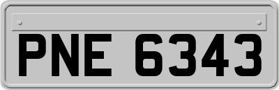 PNE6343