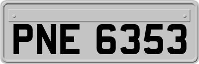 PNE6353