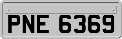 PNE6369