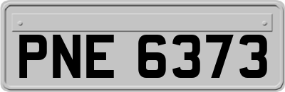PNE6373