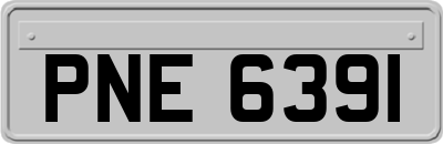 PNE6391