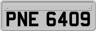 PNE6409