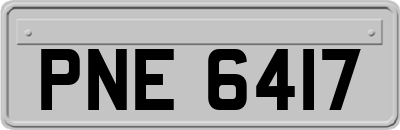 PNE6417