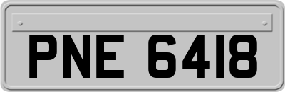 PNE6418