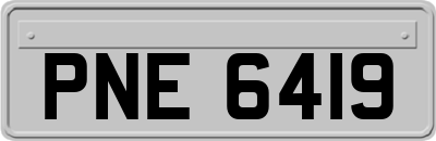 PNE6419