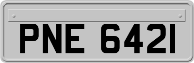PNE6421