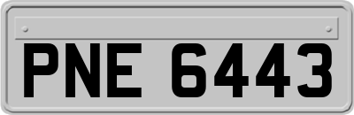 PNE6443