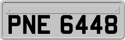 PNE6448