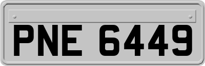 PNE6449