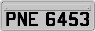 PNE6453